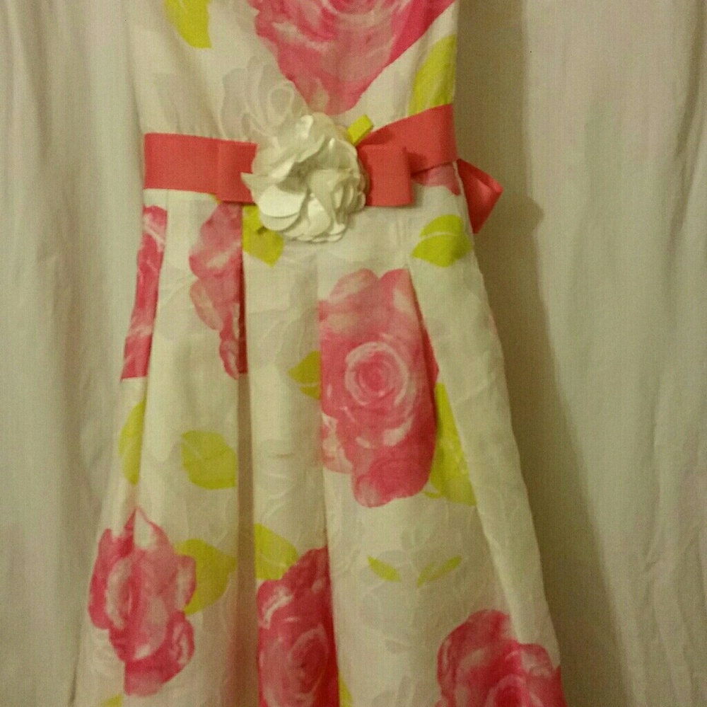 Dollie & Me Girls Dress Formal Wedding Pink Green